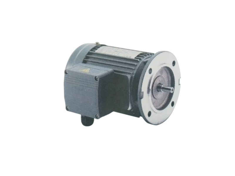 立式三相標(biāo)準(zhǔn)IEC鋁殼（剎車(chē))馬達(dá)